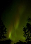 Aurora Photo for Sale