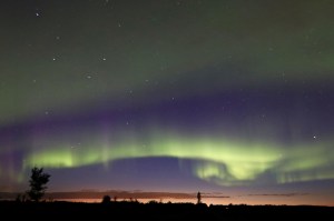 Aurora Photo for Sale