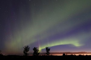 Aurora Photo for Sale
