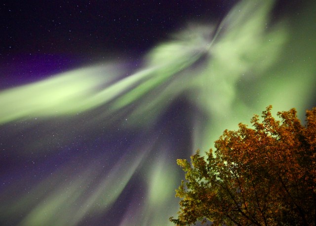 Aurora Photo for Sale