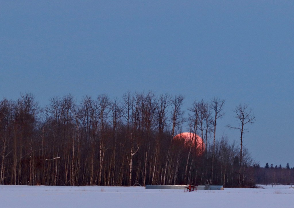 Full moon rising photo for sale