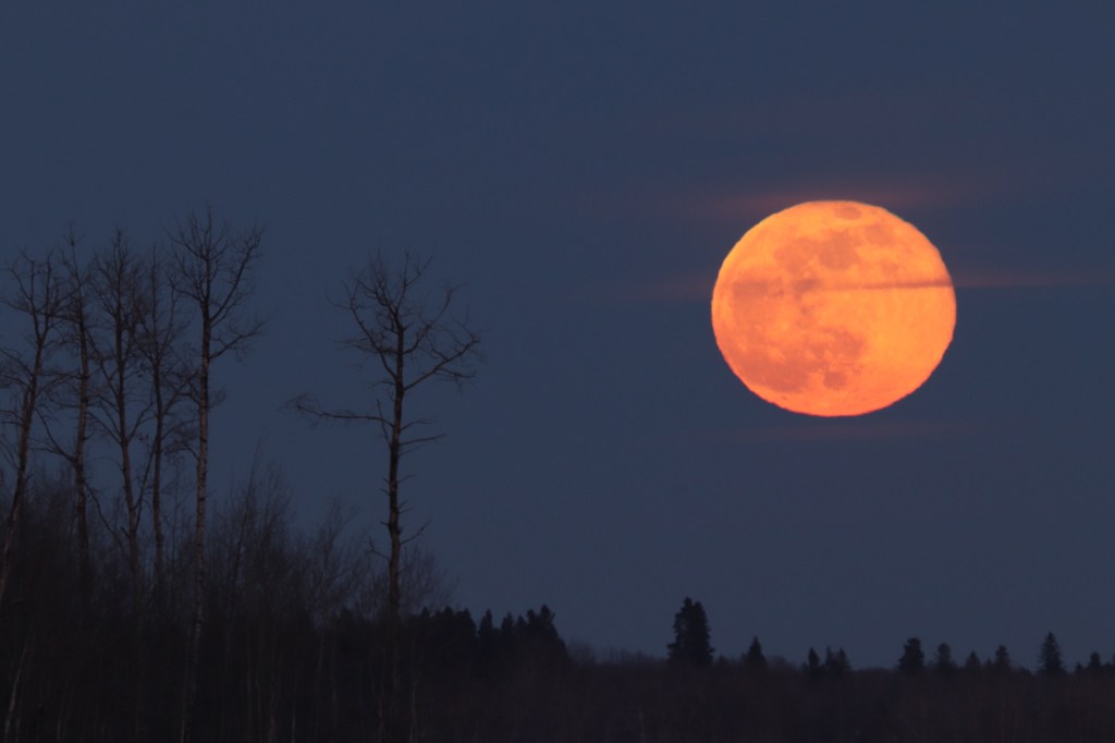 Full moon rising photo for sale