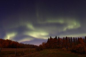 Aurora Photo for Sale