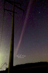 Aurora Photo for Sale