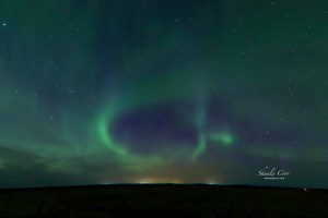 Aurora Photo for Sale