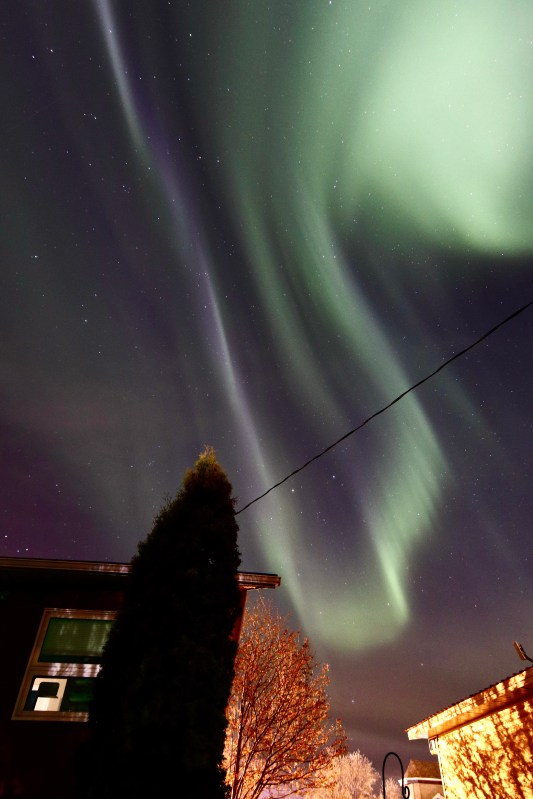 Aurora Photo for Sale