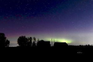 Aurora Photo for Sale