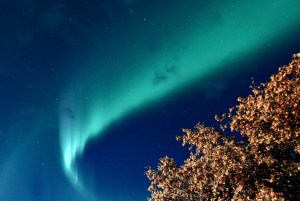 Aurora Photo for Sale