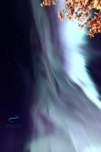 Northern Lights print photos for sale