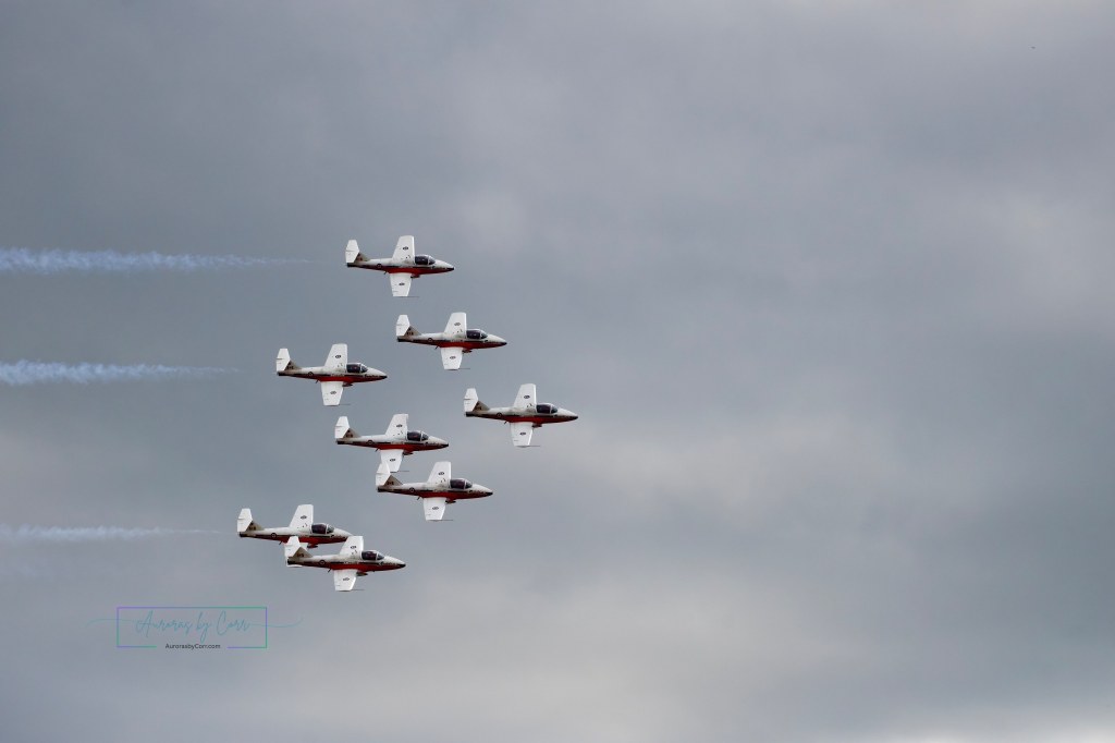 8 RCAF Snowbirds in formation at the Cold Lake Air Show 2026