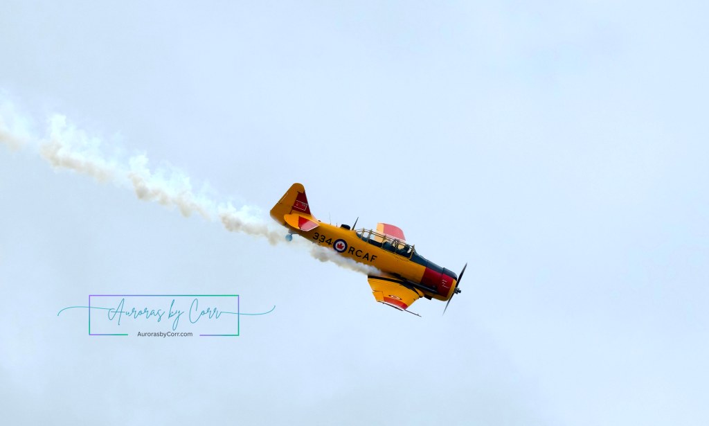 A heritage Harvard Mark IV takes to the sky at the Cold Lake Air Show 2026