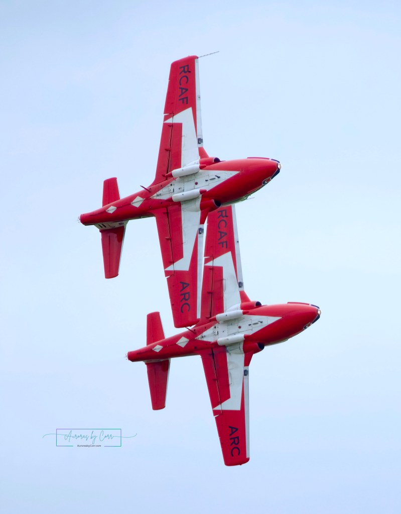 The RCAF Snowbirds precision flying solo is the wow factor needed at the Cold Lake Airshow 2026